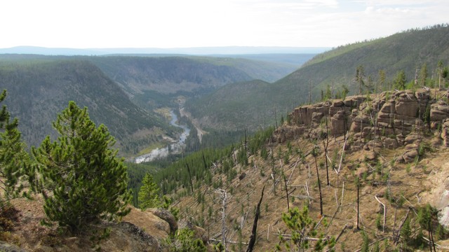IMG_7537_08.jpg