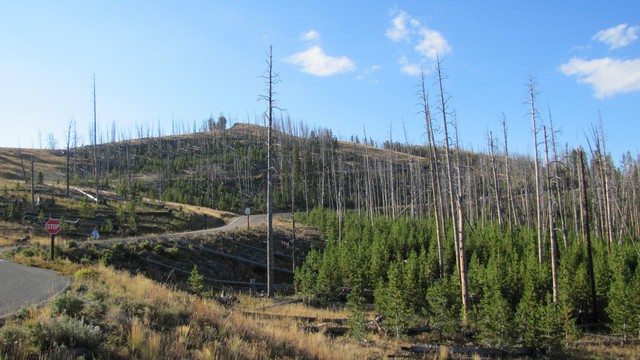 IMG_7939_03.jpg