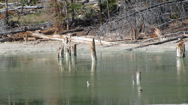 IMG_8233_08.jpg