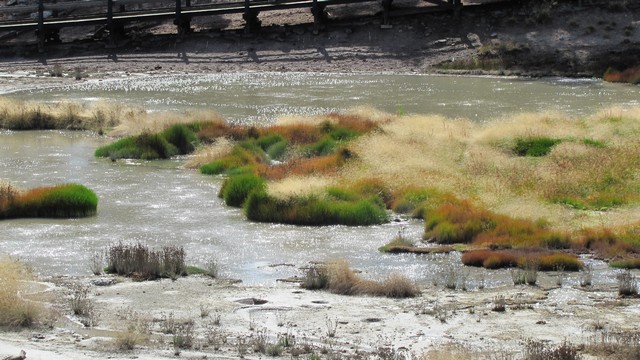 IMG_8269_10.jpg