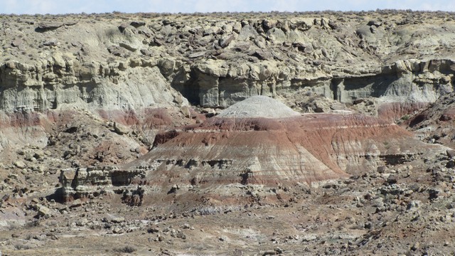 IMG_8787_47.jpg
