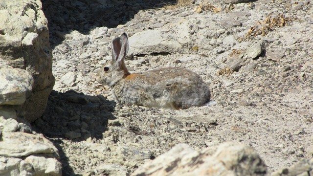 IMG_8811_53.jpg