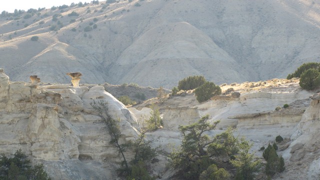 IMG_8903_73.jpg