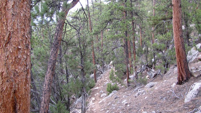 IMG_8989_12.jpg