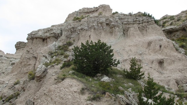 IMG_9420_18.jpg