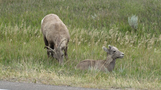 IMG_9473_30.jpg