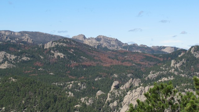 IMG_9549_07.jpg