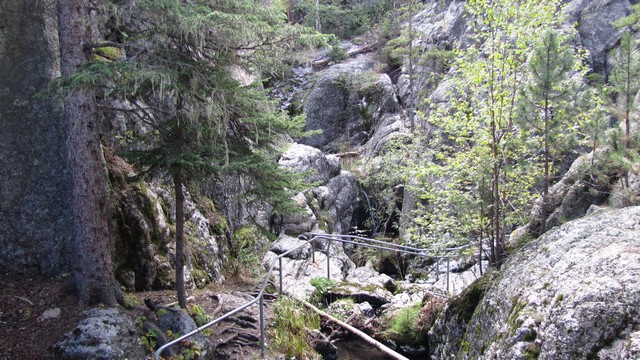 IMG_9627_31.jpg