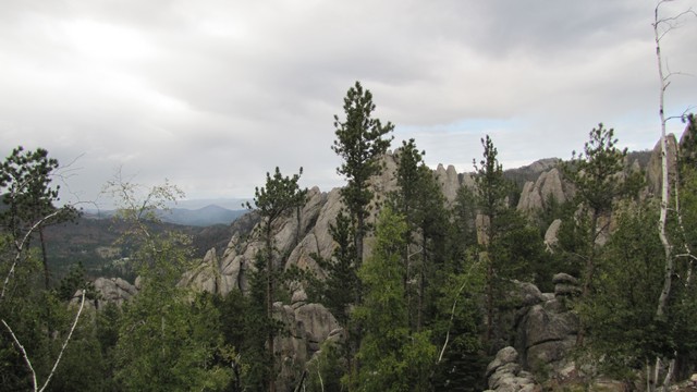 IMG_9652_37.jpg