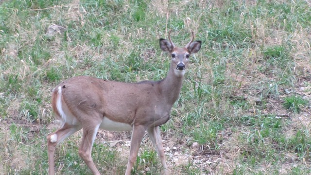 IMG_9666_01.jpg