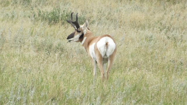 IMG_9704_08.jpg