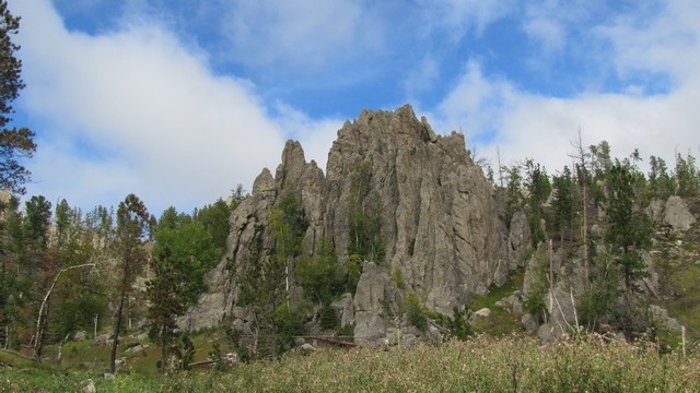IMG_9755_20.jpg