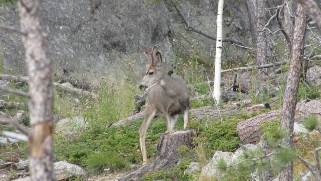 IMG_9779_24.jpg