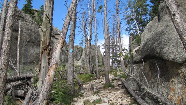 IMG_9788_25.jpg