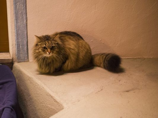 20130316-03-Seis_02.jpg