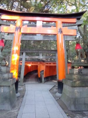 DSC00536_08.jpg