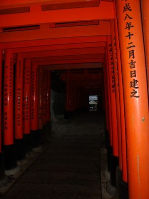 DSC00546_14.jpg