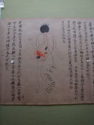 DSC00940_08.jpg