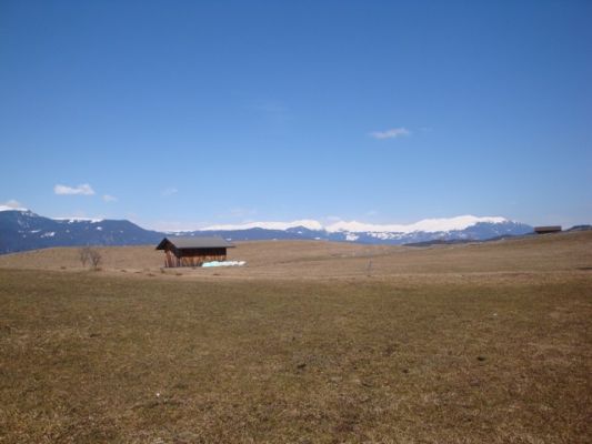 DSC01041_20.jpg
