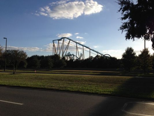 FL1_59.jpg