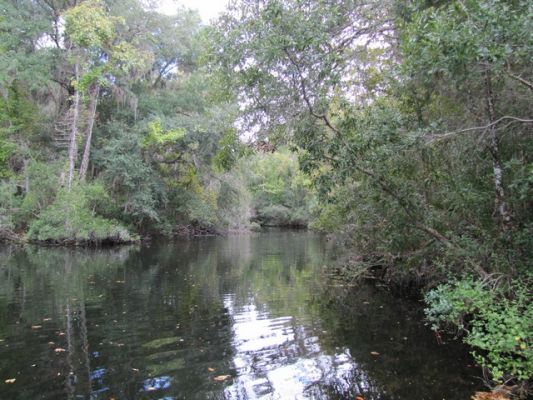 FL2_44.jpg