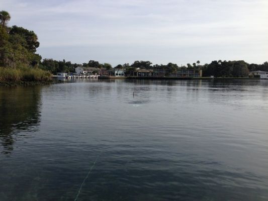 FL3_4.jpg