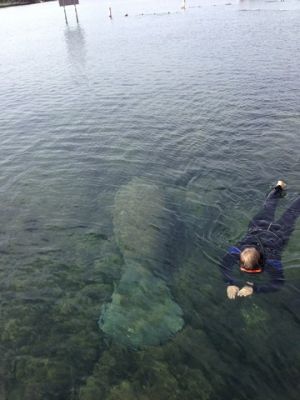 FL3_6.jpg