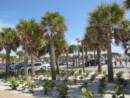 FL4_40.jpg