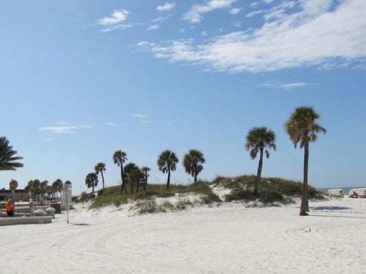 FL4_42.jpg