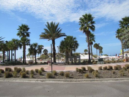 FL4_43.jpg