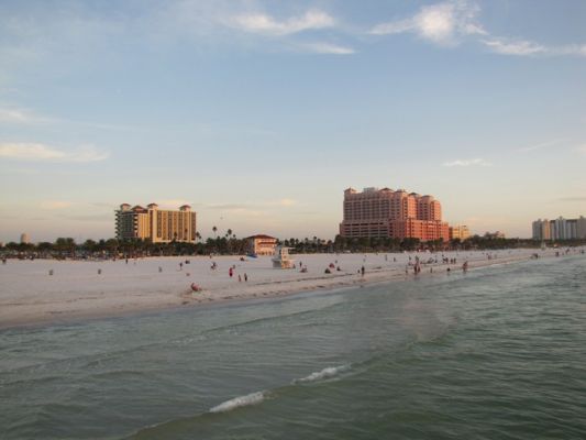 FL4_50.jpg