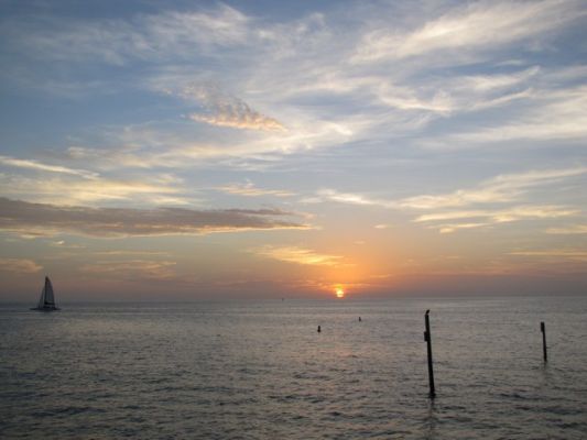 FL4_52.jpg