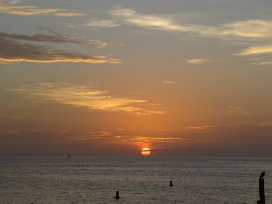 FL4_53.jpg
