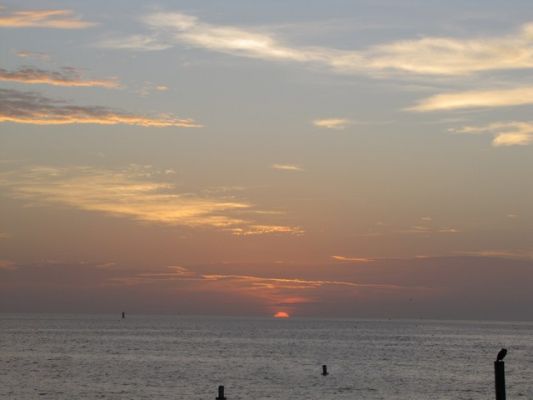 FL4_54.jpg