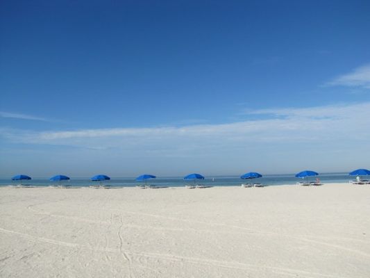 FL4_7.jpg