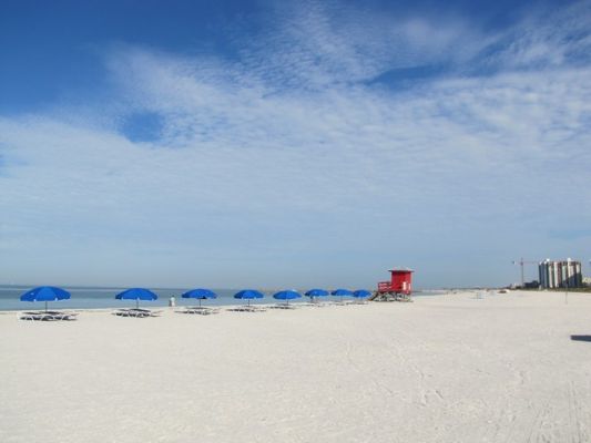 FL4_8.jpg