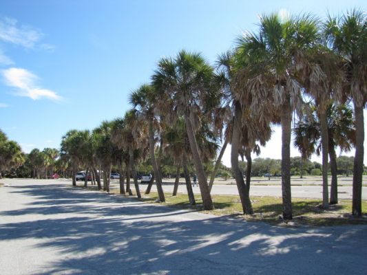 FL5_19.jpg