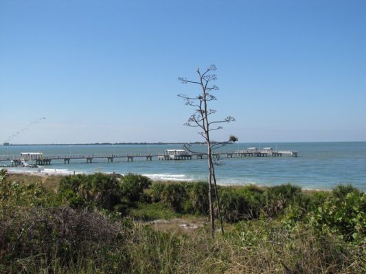 FL5_20.jpg