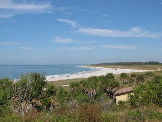 FL5_21.jpg