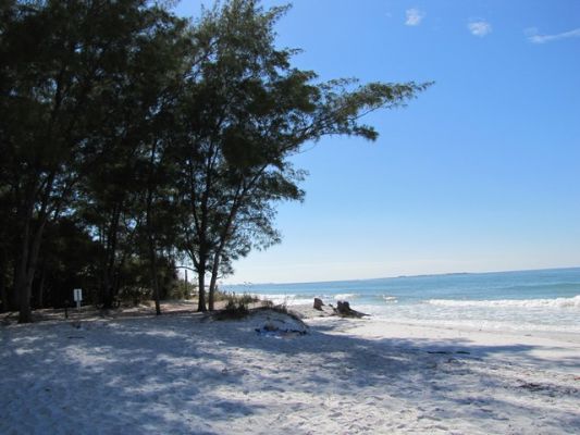 FL5_29.jpg