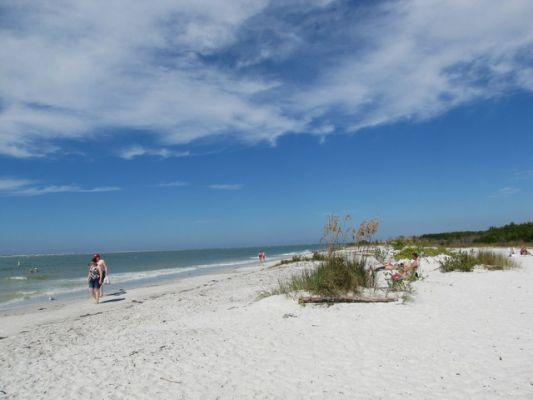 FL5_30.jpg