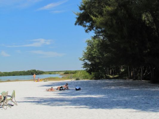 FL5_31.jpg