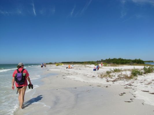 FL5_34.jpg
