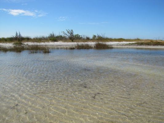 FL5_38.jpg