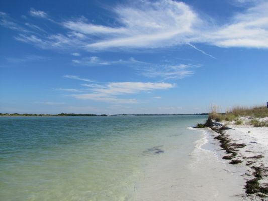FL5_40.jpg