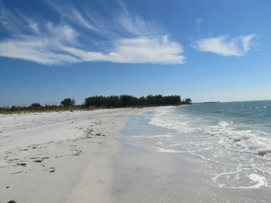 FL5_41.jpg