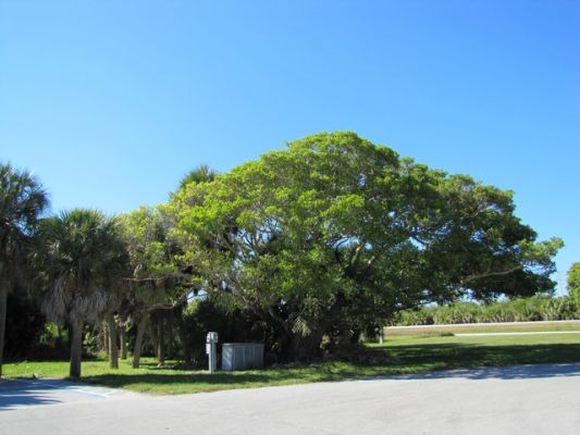 FL5_44.jpg
