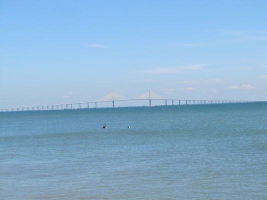 FL5_51.jpg