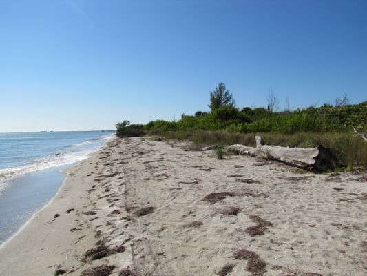 FL5_53.jpg