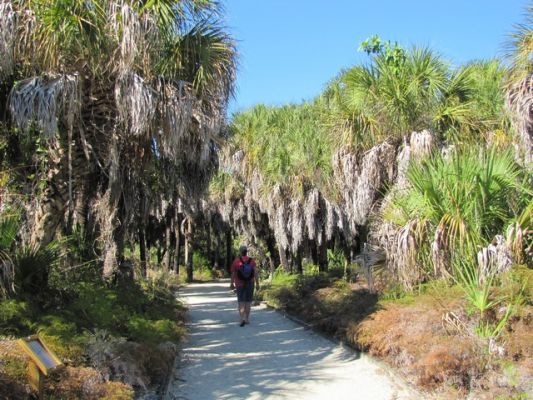 FL5_57.jpg